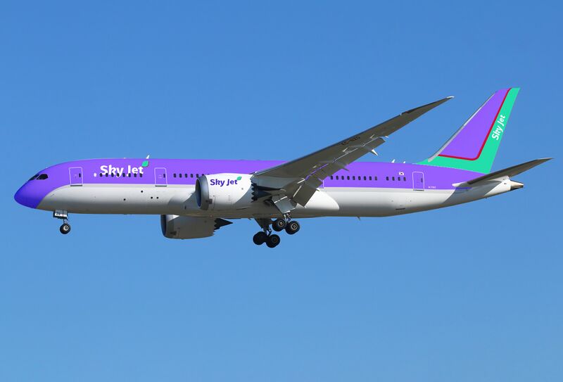 파일:B787-8 Sky Jet.jpg
